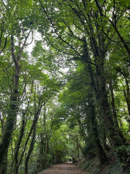Bells - Explore Cornwall By Rail *