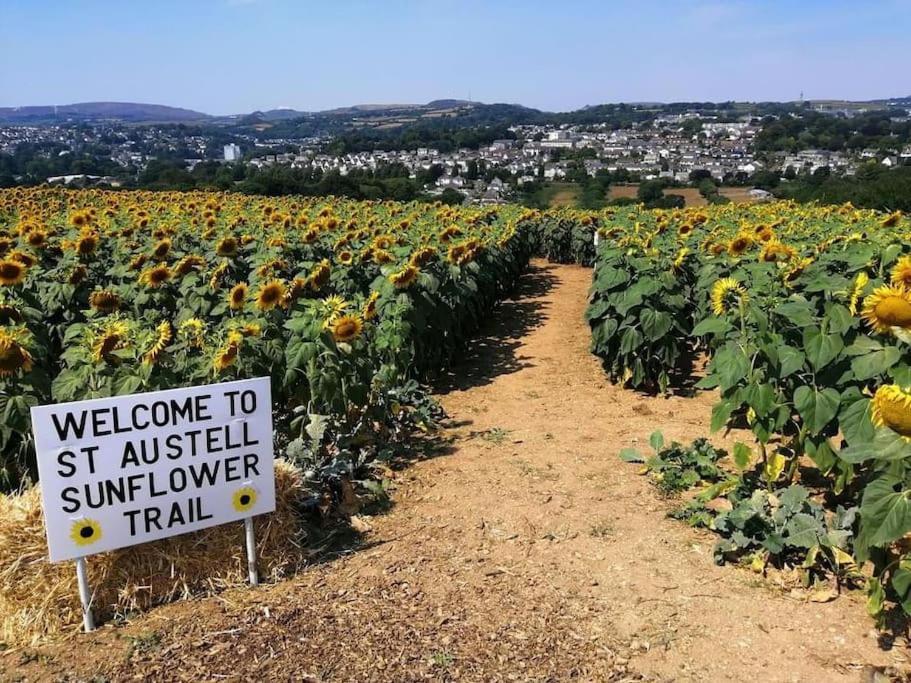Bells - Explore Cornwall By Rail St Austell